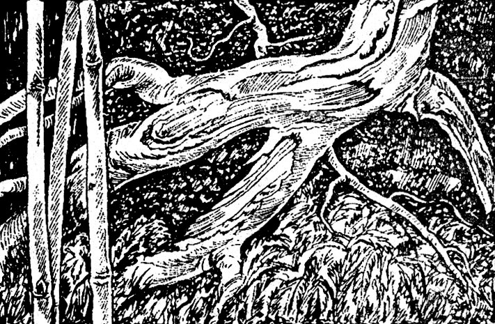 Декоративная ширма 4 (болотный ландшафт). Материал: корни, ветви, волокнистый торф, отдельные стебли бамбука. Крепление булавками и клеем 