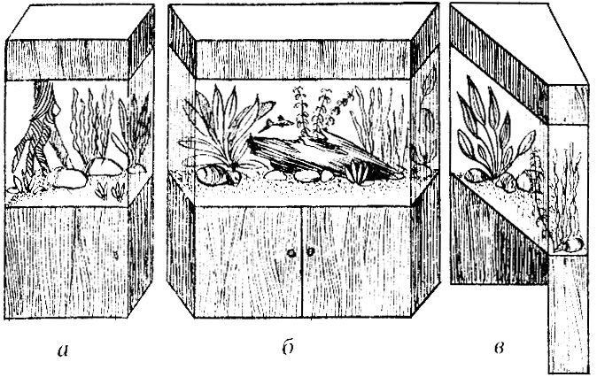 Рис. 3. Типы декоративных аквариумов: (а - кубический, б - трабецевидный, в - угловой)