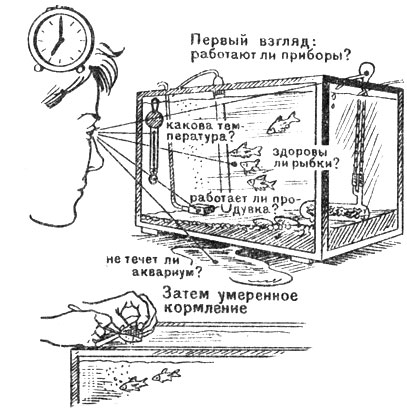 Ежедневные заботы. Утро