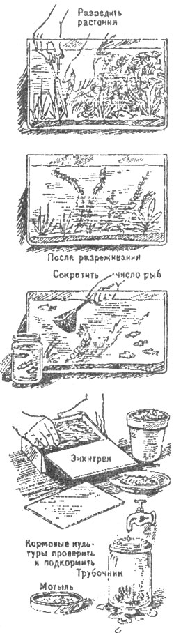 Подготовка к зиме. Специальные работы