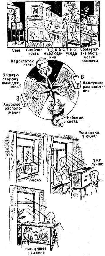 Пять основных пунктов 