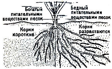 Песок и гравий