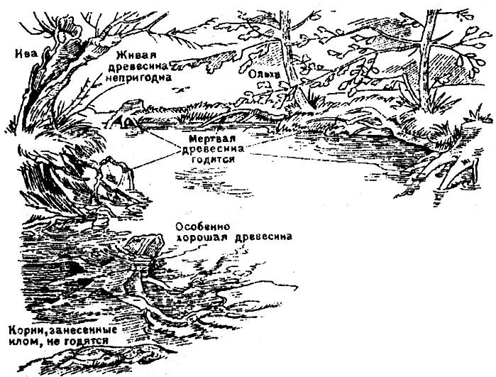 Дерево для аквариума