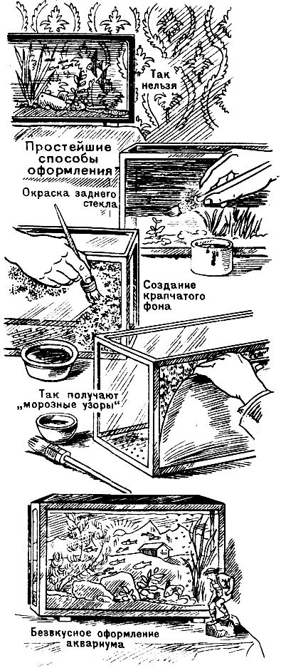 Задняя стенка аквариума