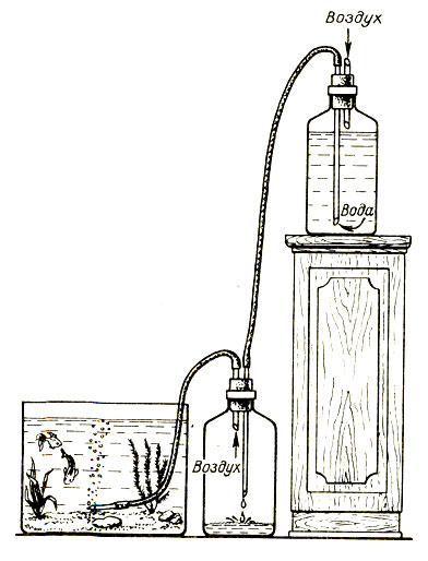 Рис. 3. Простейший самодельный аэратор. Когда вода перельется, бутыли меняют местами