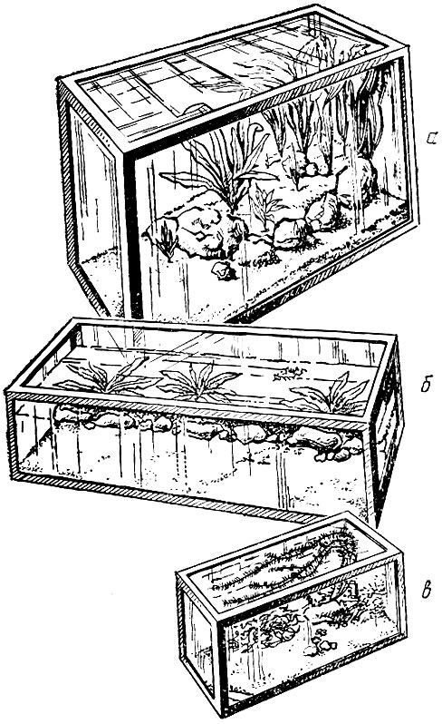 Аквариумы разного назначения: а - декоративный; б - для выращивания мальков; в - нерестовый