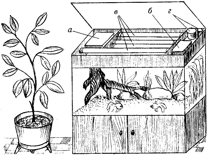 Рис. 6. Аквариум в фоне: (а - реле времени; б - микрокомпрессор; в - лампы освещения; г - терморегулятор с подогревателем)